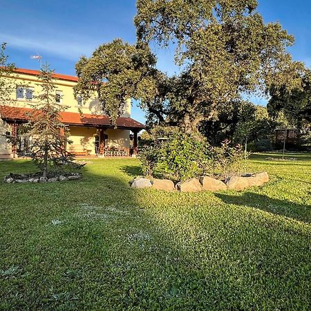 La Encina Guapa Casa Rural 20,000M2 De Intimidad Villa La Iglesuela Ngoại thất bức ảnh