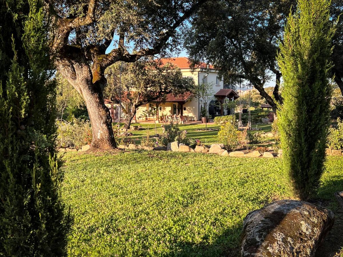 La Encina Guapa Casa Rural 20,000M2 De Intimidad Villa La Iglesuela Ngoại thất bức ảnh