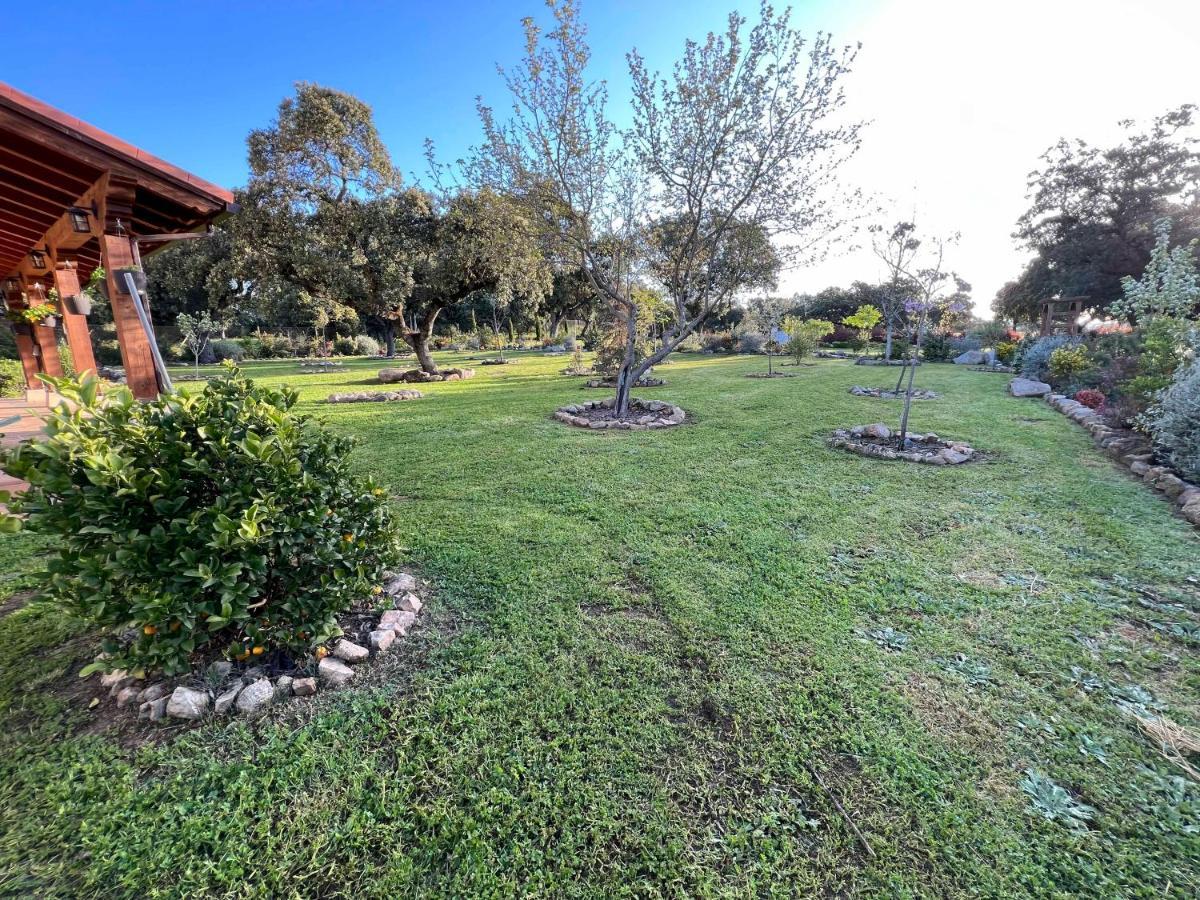 La Encina Guapa Casa Rural 20,000M2 De Intimidad Villa La Iglesuela Ngoại thất bức ảnh